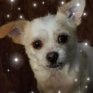 Meet your Posher, April